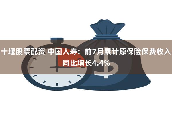 十堰股票配资 中国人寿：前7月累计原保险保费收入同比增长4.4%