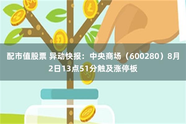 配市值股票 异动快报：中央商场（600280）8月2日1