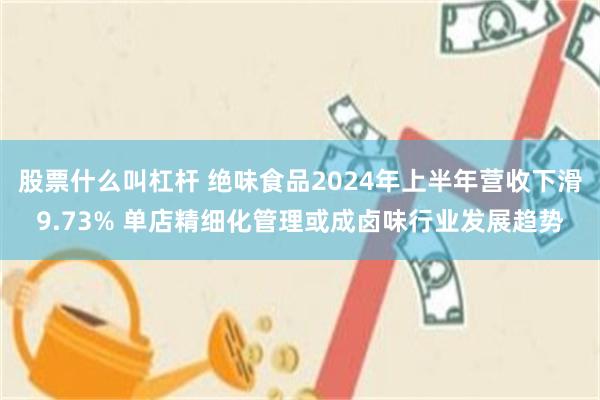 股票什么叫杠杆 绝味食品2024年上半年营收下滑9.73% 单店精细化管理或成卤味行业发展趋势