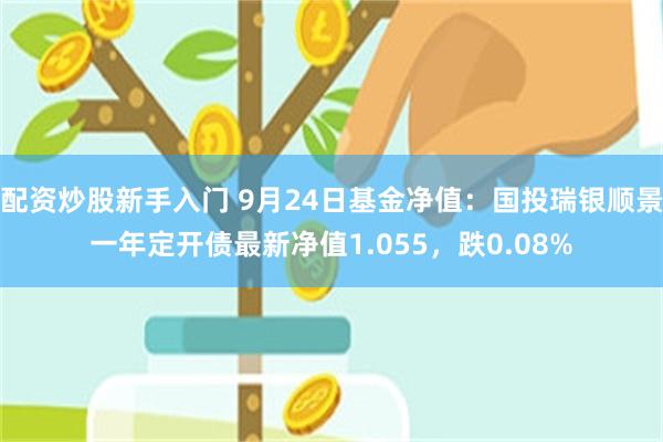 配资炒股新手入门 9月24日基金净值：国投瑞银顺景一年定开债最新净值1.055，跌0.08%