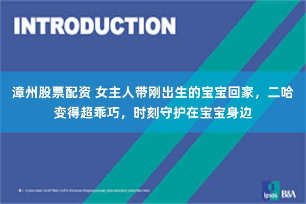 漳州股票配资 女主人带刚出生的宝宝回家，二哈变得超乖巧，时刻守护在宝宝身边