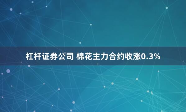 杠杆证券公司 棉花主力合约收涨0.3%