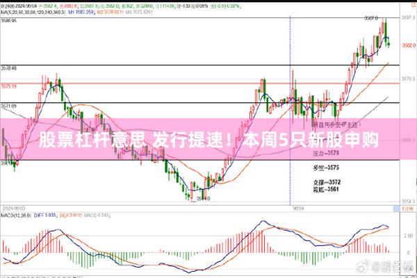 股票杠杆意思 发行提速！本周5只新股申购