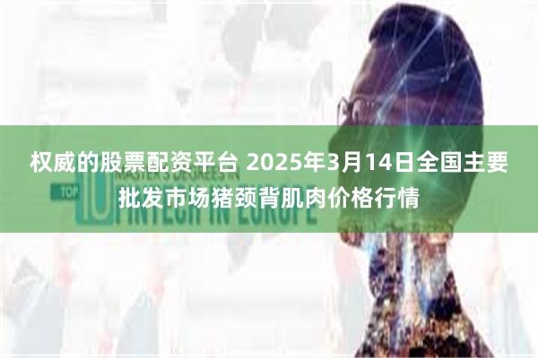 权威的股票配资平台 2025年3月14日全国主要批发市场猪颈背肌肉价格行情