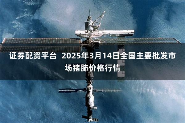 证券配资平台  2025年3月14日全国主要批发市场猪肺价格行情