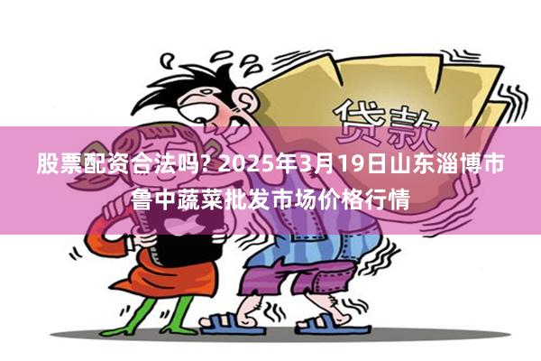 股票配资合法吗? 2025年3月19日山东淄博市鲁中蔬菜批发市场价格行情