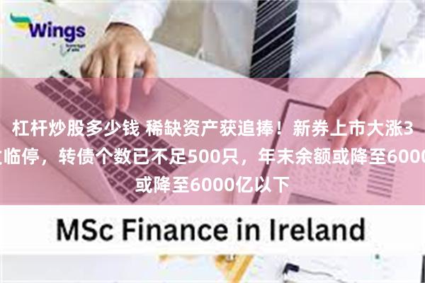 杠杆炒股多少钱 稀缺资产获追捧!新券上市大涨30%触发临停,转债个数已不足500只,年末余额或降至6000亿以下