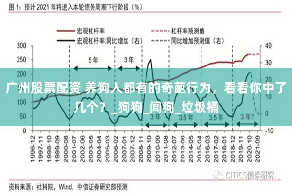 广州股票配资 养狗人都有的奇葩行为，看看你中了几个？_狗狗_闻狗_垃圾桶