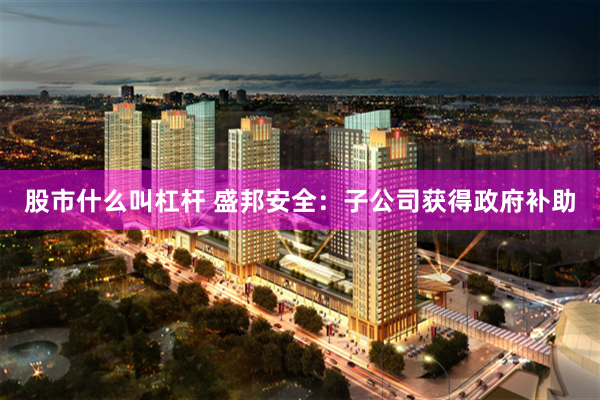 股市什么叫杠杆 盛邦安全：子公司获得政府补助